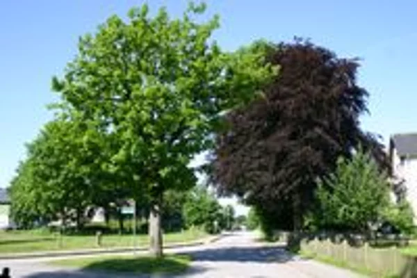 Kreisstraße K44 Sieverstedt