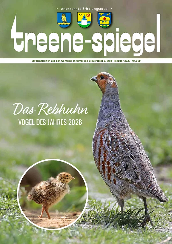 Treenespiegel Februar 2026