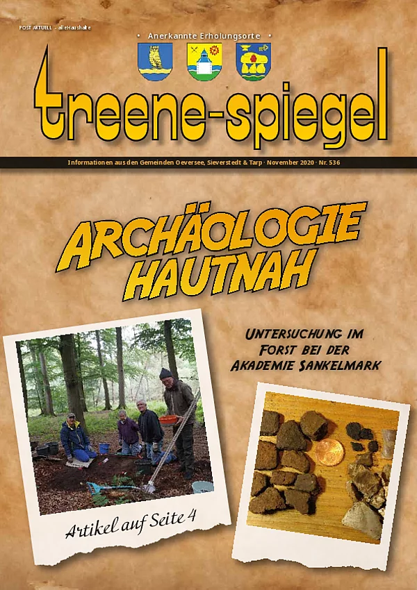 Treenespiegel November 2020